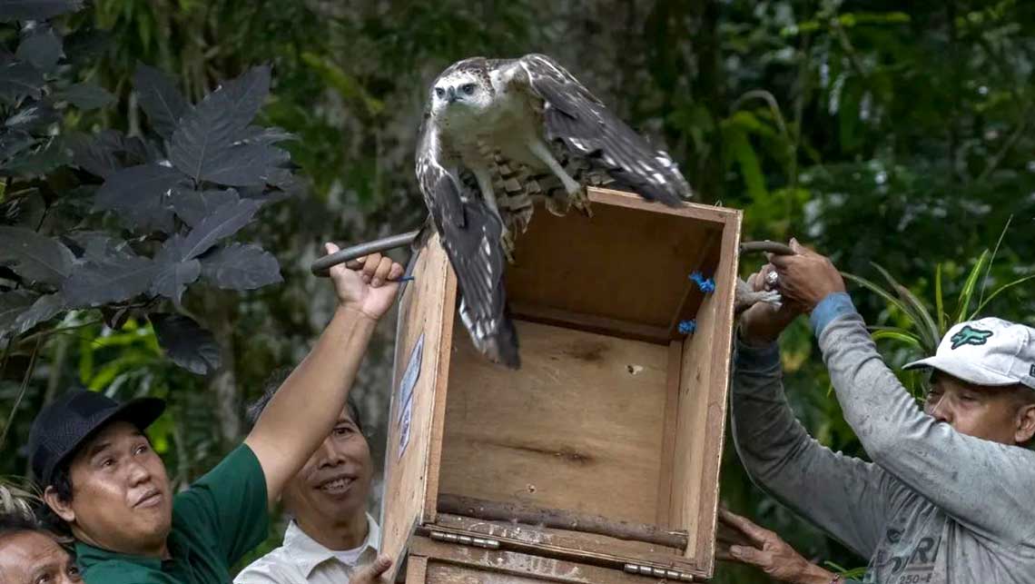 Bali Wildlife Rescue Centre